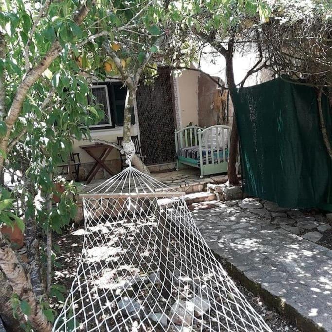 Oziás Casa Natasa 아파트 외부 사진