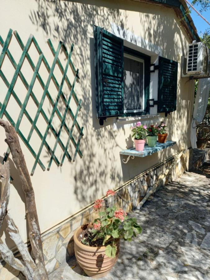 Oziás Casa Natasa 아파트 외부 사진